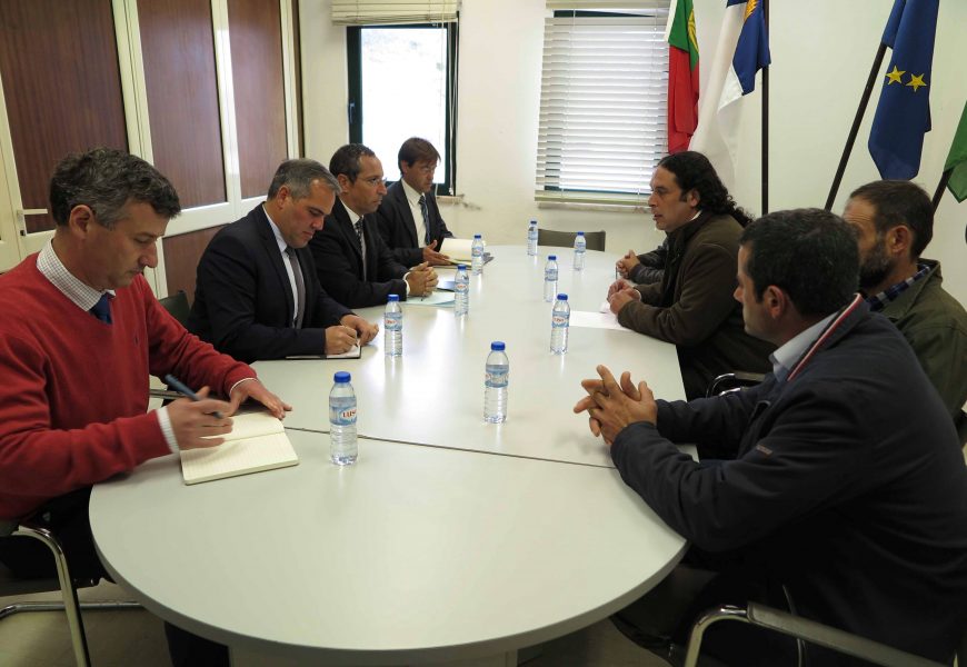 Governo dos Açores empenhado em solução para o escoamento do queijo de São Jorge, afirma João Ponte Governo dos Açores empenhado em solução para o escoamento do queijo de São Jorge, afirma João Ponte