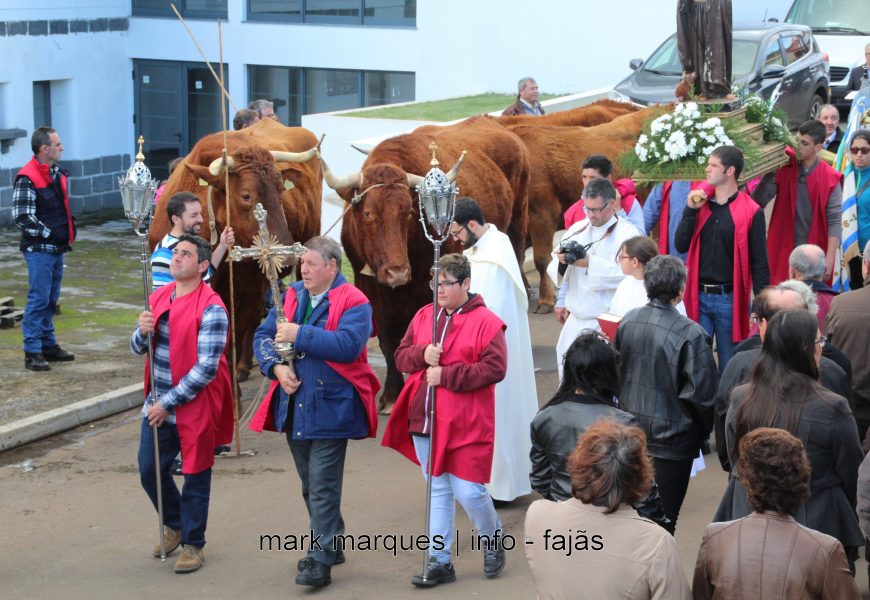 BÊNÇÃO DE ANIMAIS / ROSAIS / FESTA DE SANTO ANTÃO – Ilha de São Jorge (reportagem fotográfica)