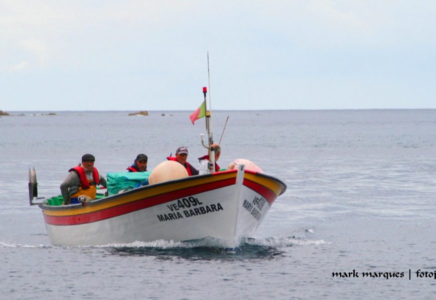 Licenças da pesca na Região com novos critérios de renovação