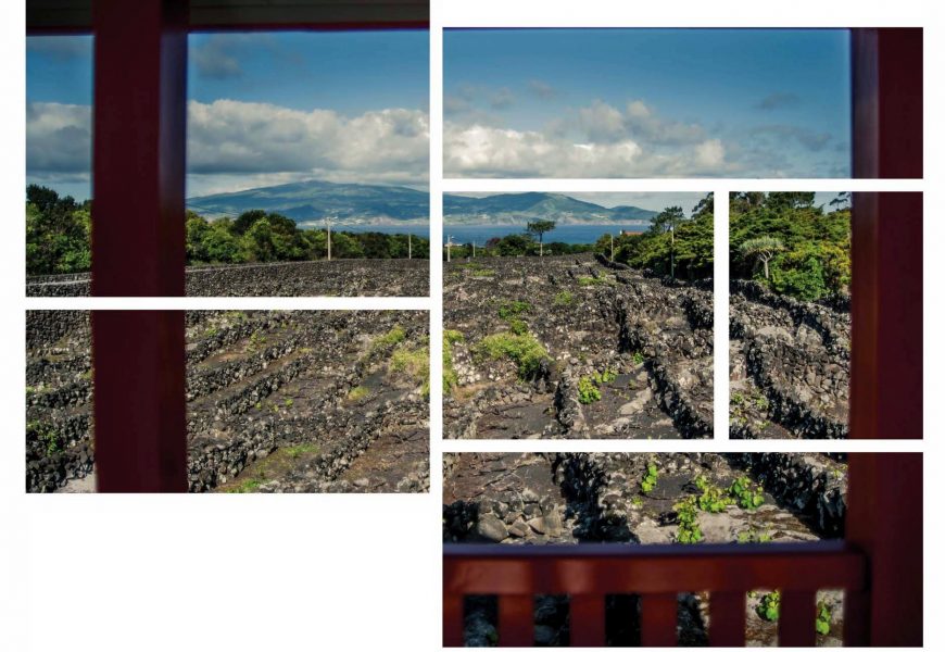 Museu do Pico recebe Enoteca Itinerante – Ilha do Pico