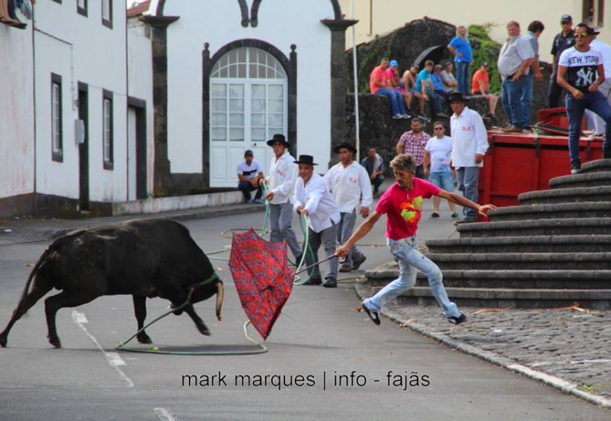 TOURADAS À CORDA – FESTA BRAVA COMEÇA DIA 1 DE MAIO – (Urzelina e Norte Pequeno) – Ilha de São Jorge.