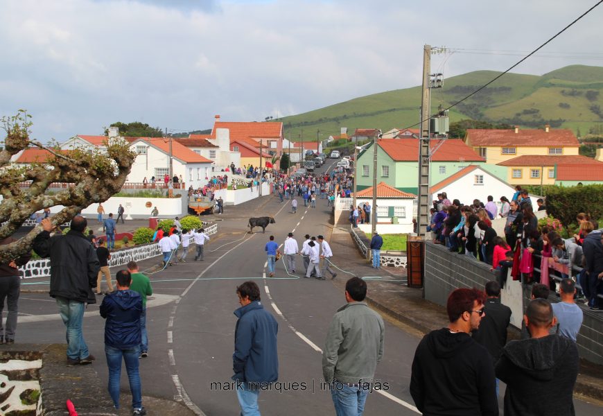 TOURADA À CORDA – NORTE PEQUENO – ILHA DE SÃO JORGE. (c/ reportagem fotográfica)
