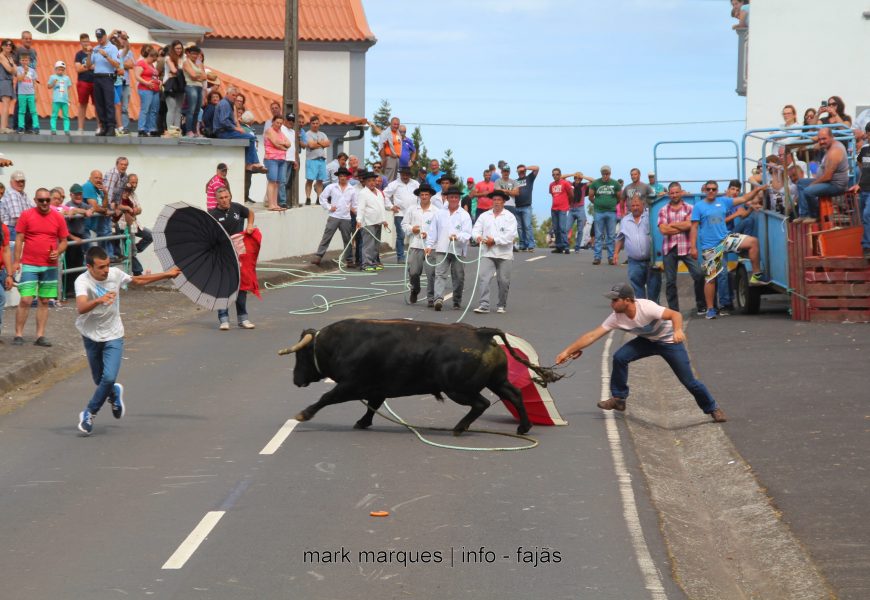 TOURADA À CORDA – SANTO ANTÓNIO – Ilha de São Jorge (c/ reportagem fotográfica)