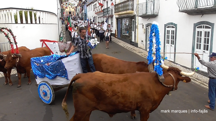 CORTEJO DA PASSAGEM DE TESTEMUNHO AO MORDOMO DO BODO DE LEITE DO ANO SEGUINTE – Vila do Topo – Ilha de São Jorge (c/ vídeo)