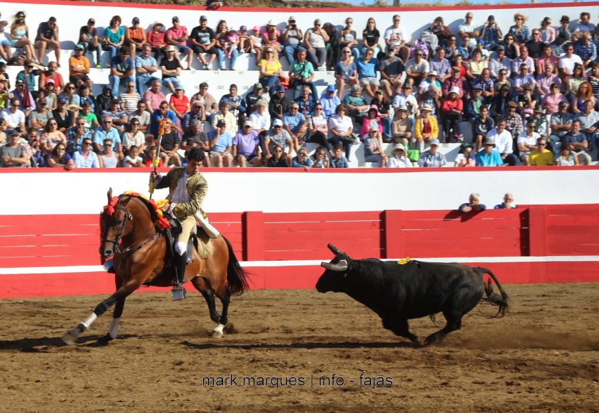 TOURADA DE PRAÇA – 30 ª SEMANA CULTURAL DAS VELAS – Ilha de São Jorge (c/ reportagem fotográfica)