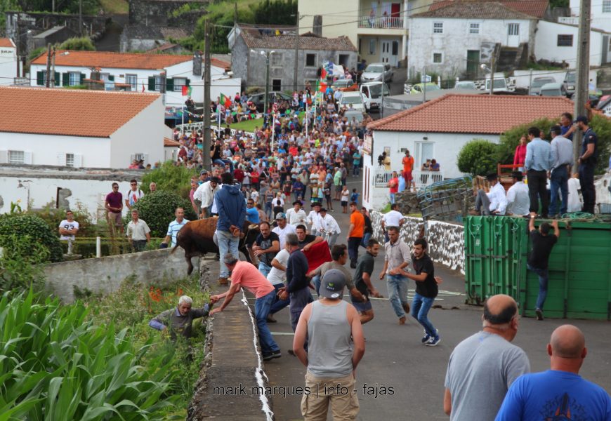 II TOURADA À CORDA – FESTAS DE SANTA ANA – BEIRA – Ilha de São Jorge (c/ reportagem fotográfica)