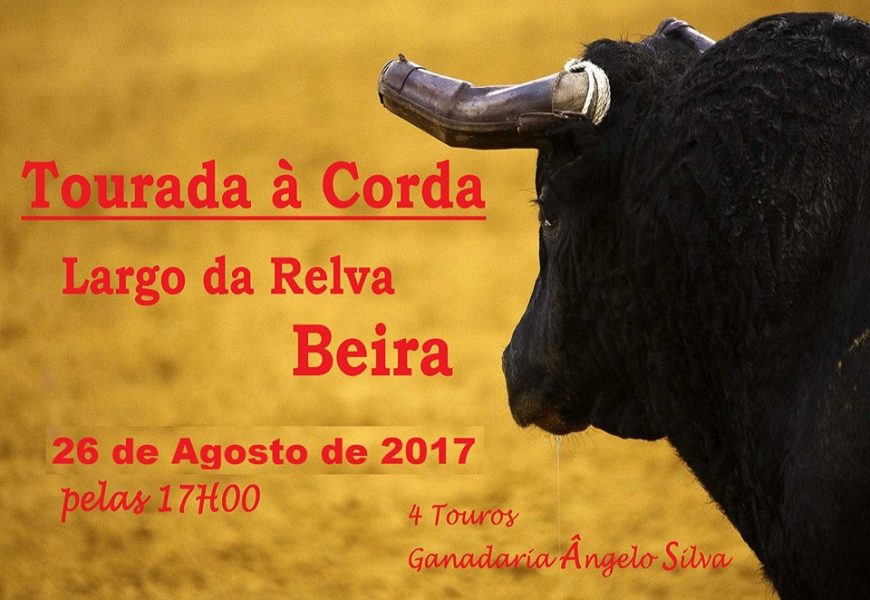 TOURADA À CORDA  NA BEIRA (Largo da Relva) – próximo dia 26 (Sábado) – Ilha de São Jorge