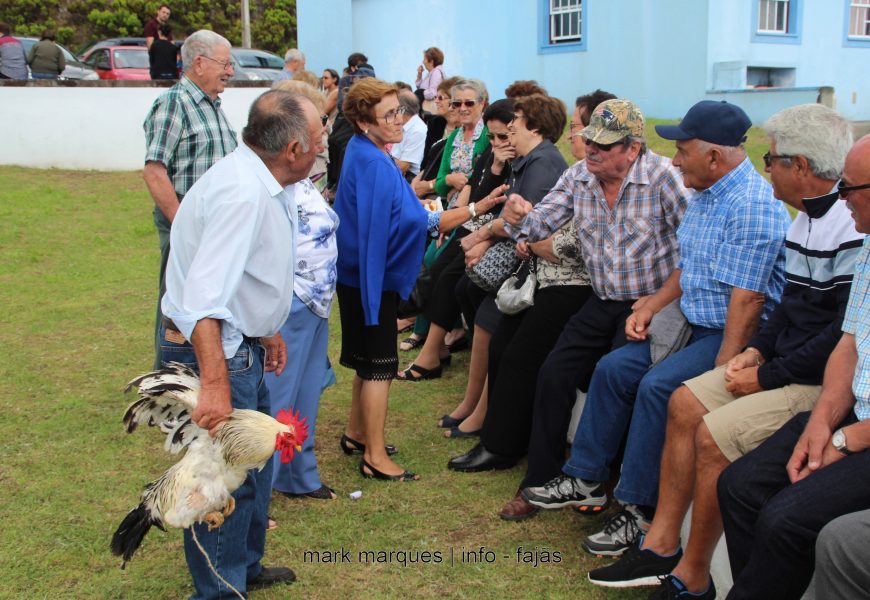 FESTA DOS LOURAIS – MISSA E ARREMATAÇÕES – Ilha de São Jorge (c/ reportagem fotográfica) FESTA DOS LOURAIS – MISSA E ARREMATAÇÕES – Ilha de São Jorge (c/ reportagem fotográfica)