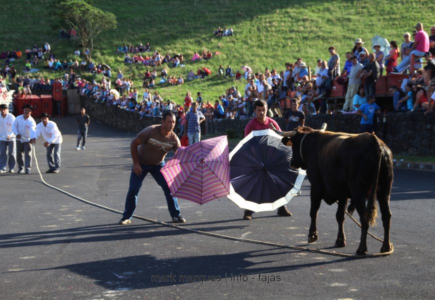 TOURADA À CORDA (II) FESTA DE ROSAIS 2017 – Ilha de São Jorge (c/ reportagem fotográfica)