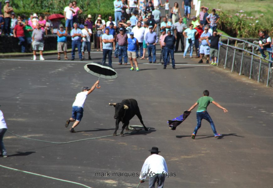 TOURADA À CORDA (I) NAS FESTAS DE ROSAIS – Ilha de São Jorge. (c/ reportagem fotográfica)