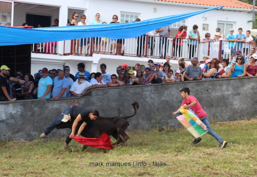 GARRAIADA NA FAJÃ GRANDE / CALHETA – Ilha de São Jorge (c/ reportagem fotográfica)