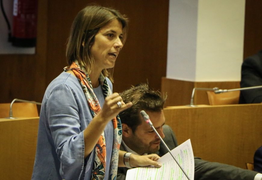 CDS-PP defende: Mais do que opções de escolha cantinas públicas têm que servir refeições saudáveis e equilibradas