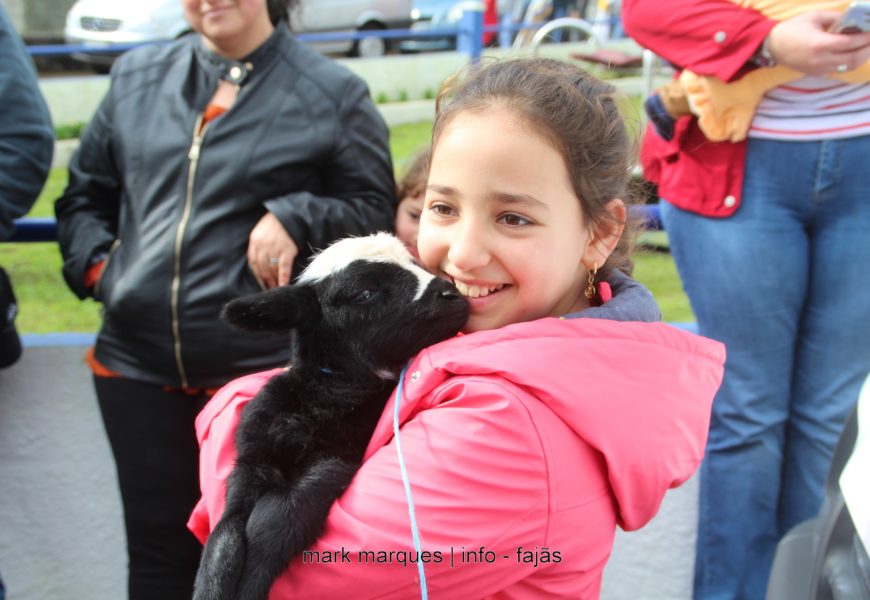 ROSAIS – Procissão e bênção dos animais – Festa de Santo Antão – Ilha de São Jorge (c/ reportagem fotográfica)