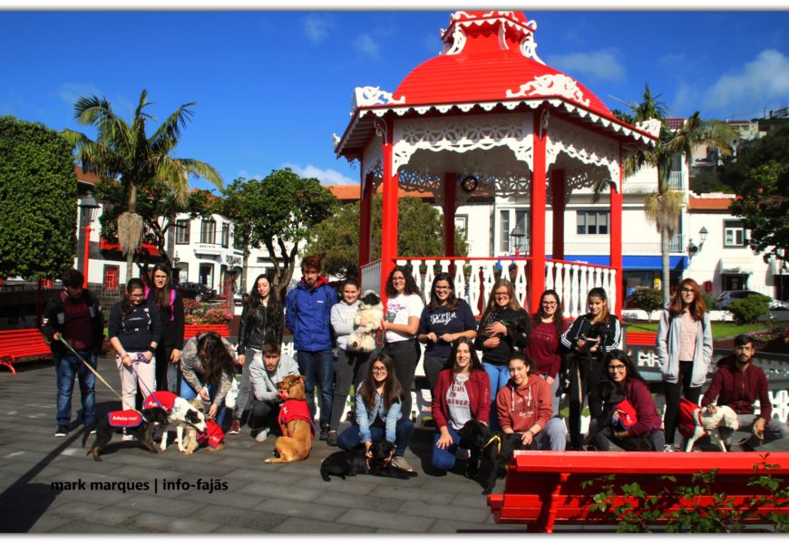 CAMPANHA DE ADOÇÃO ANIMAL – Jardim da República – Vila das Velas – Ilha de São Jorge CAMPANHA DE ADOÇÃO ANIMAL – Jardim da República – Vila das Velas – Ilha de São Jorge
