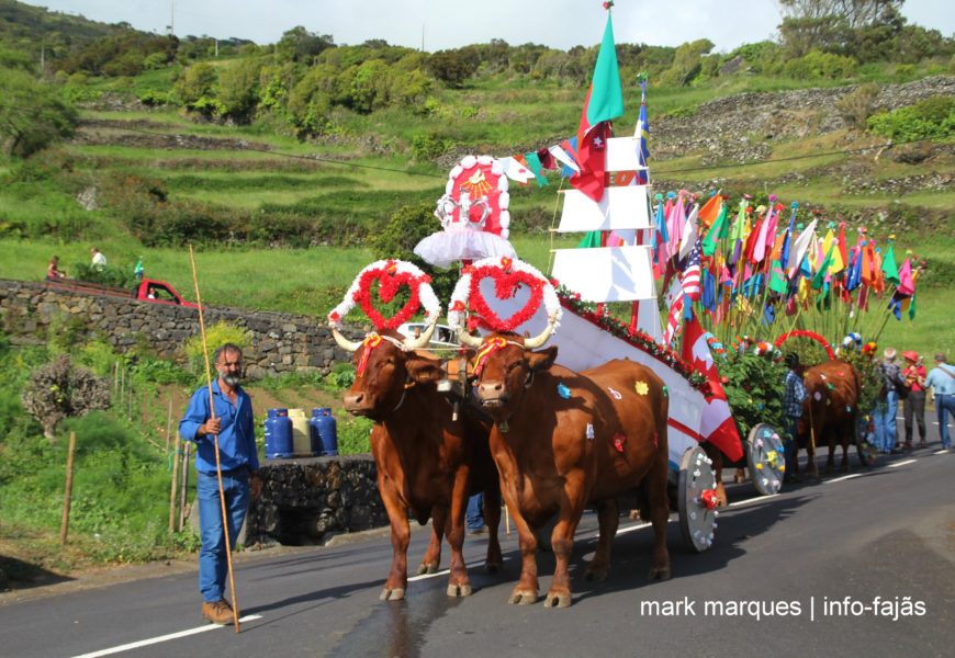 CORTEJO DO BANDO – MANADAS – Ilha de São Jorge (c/ vídeo)
