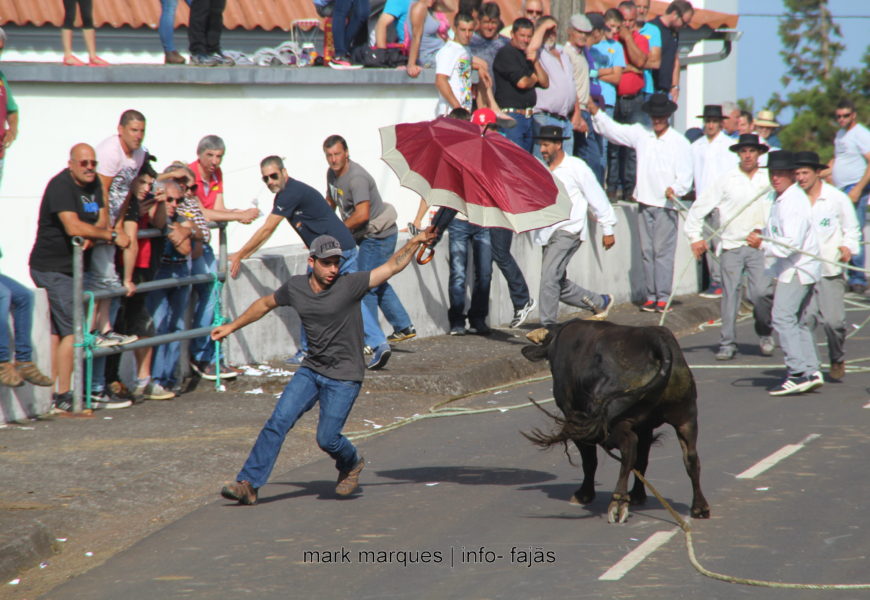 1ª TOURADA À CORDA – Santo António – Ilha de São Jorge (c/ reportagem fotográfica)