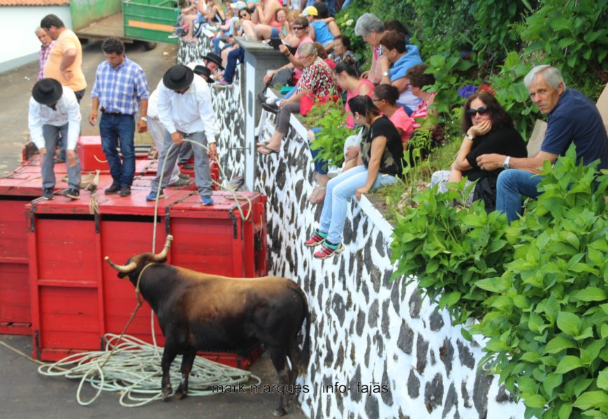 2ª TOURADA À CORDA – Santo António – Ilha de São Jorge (c/ reportagem fotográfica)