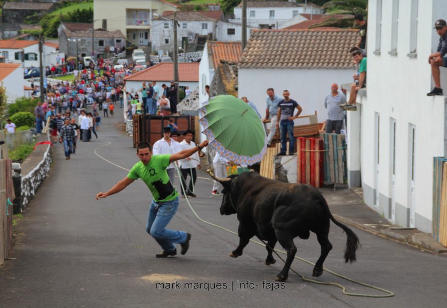 TOURADA À CORDA – BEIRA / VELAS – Ilha de São Jorge (c/ reportagem fotográfica)