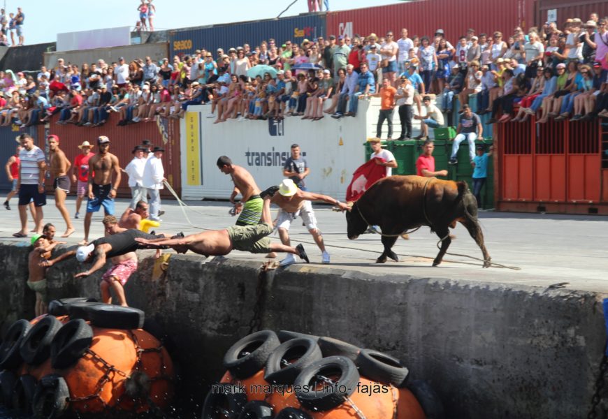 TOURADA À CORDA (Cais Comercial de Velas) – 31ª SEMANA CULTURAL DAS VELAS – Ilha de São Jorge (c/ reportagem fotográfica) TOURADA À CORDA (Cais Comercial de Velas) – 31ª SEMANA CULTURAL DAS VELAS – Ilha de São Jorge (c/ reportagem fotográfica)