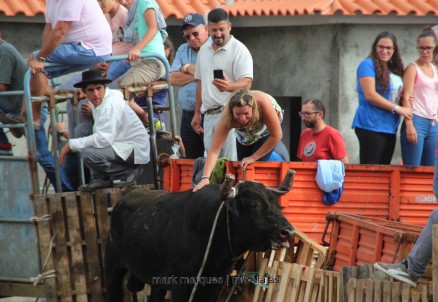 1ª TOURADA À CORDA – FESTAS DE SANTA ANA – Beira / Velas – Ilha de São Jorge (c/ reportagem fotográfica)