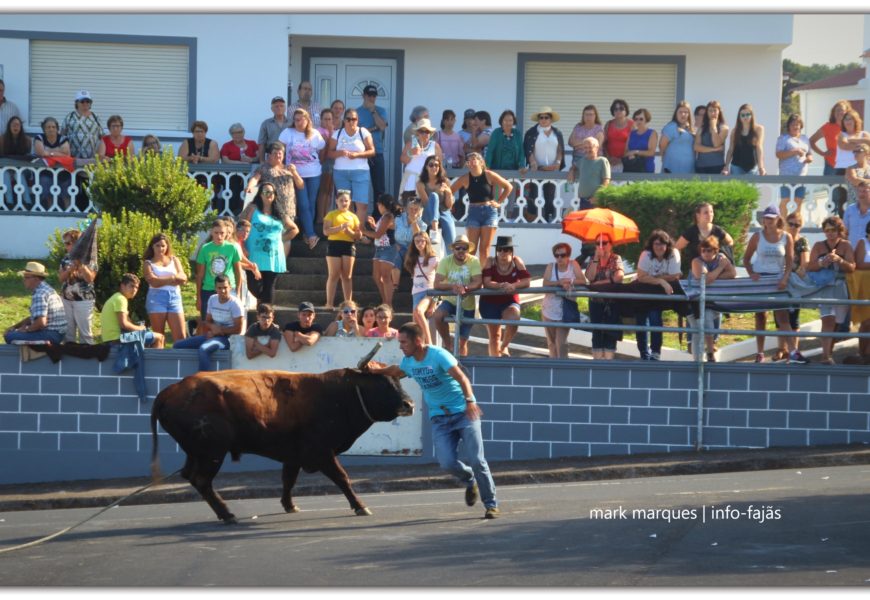 TOURADA À CORDA – Norte Pequeno – Ilha de São Jorge (c/ reportagem fotográfica) TOURADA À CORDA – Norte Pequeno – Ilha de São Jorge (c/ reportagem fotográfica)
