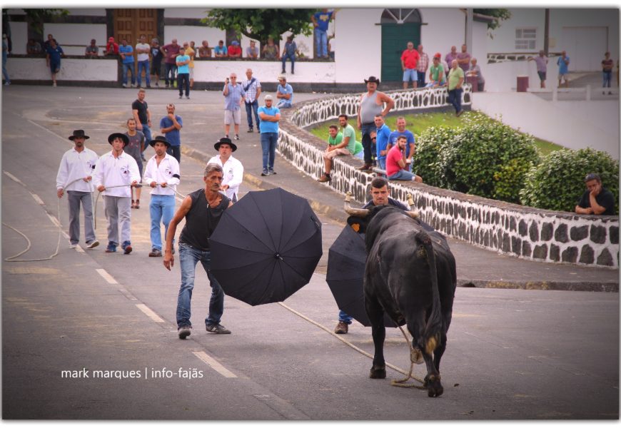 TOURADA À CORDA – Norte Pequeno – Ilha de São Jorge (c/ reportagem fotográfica) TOURADA À CORDA – Norte Pequeno – Ilha de São Jorge (c/ reportagem fotográfica)