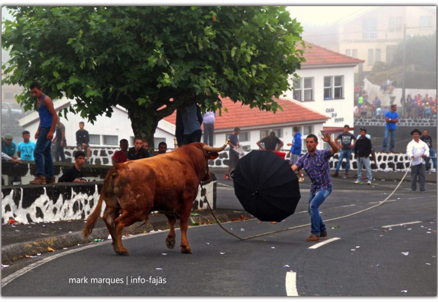 TOURADA À CORDA – Norte Pequeno – Ilha de São Jorge (c/ reportagem fotográfica)