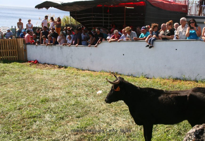 GARRAIADA NA FAJÃ GRANDE – Calheta – Ilha de São Jorge (c/ reportagem fotográfica)