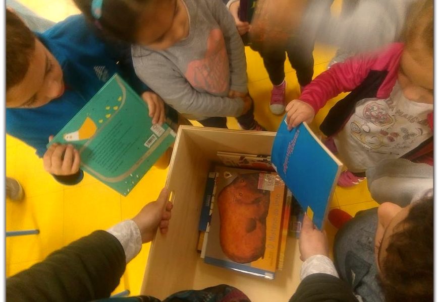 BIBLIOCAIXAS – Um projeto de sucesso, segundo a Diretora do Museu Francisco Lacerda – Ilha de São Jorge