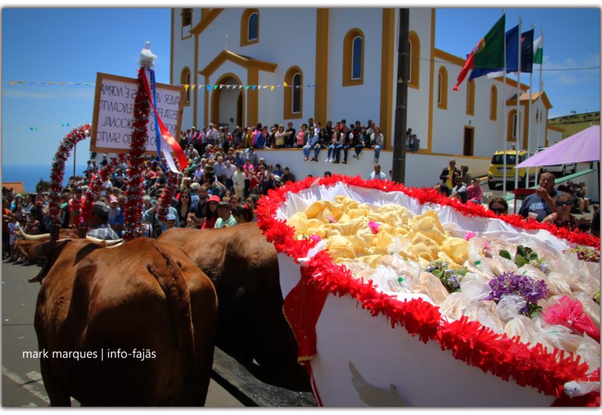 CORTEJO DO BODO DE LEITE – SANTO ANTÃO – Ilha de São Jorge (c/ vídeo)