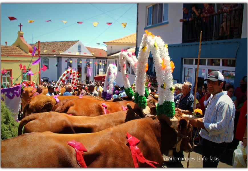 FESTA E BODO DE LEITE – VILA DO TOPO – Ilha de São Jorge (c/ vídeo)