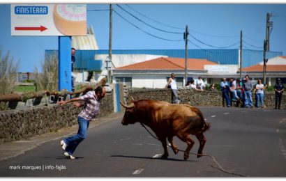TOURADA À CORDA – Freguesia de Santo Antão – Ilha de São Jorge (c/ reportagem fotográfica)