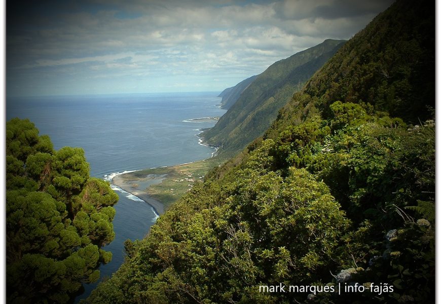 INFO-FAJÃS, UM PROJETO DE SUCESSO – OBRIGADO AOS LEITORES / SEGUIDORES
