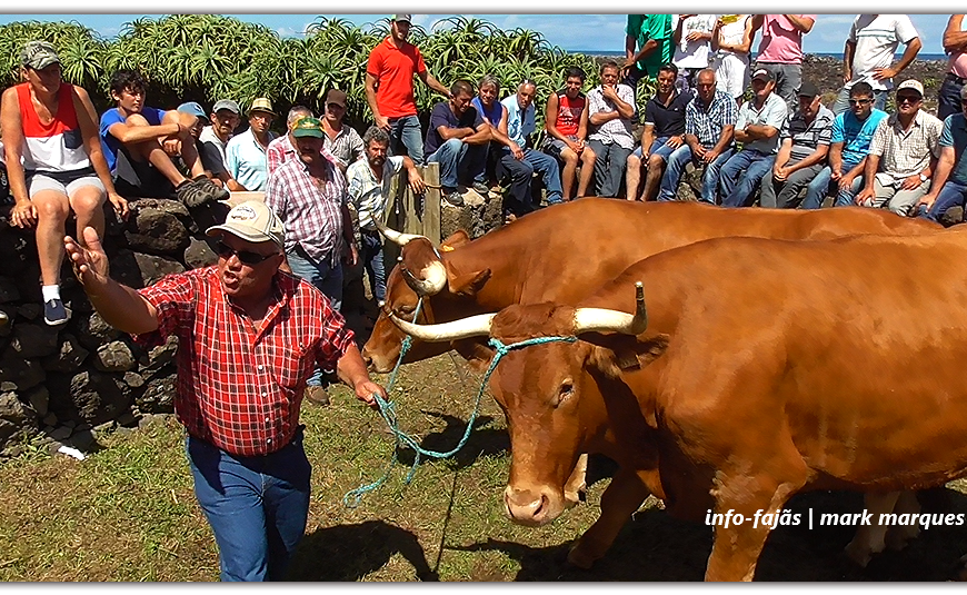 DEODATO BRASIL, “O HOMEM DAS ARREMATAÇÕES” – FESTA NA FAJÃ DA CALDEIRA DO SANTO CRISTO – Ilha de São Jorge (c/ vídeo)