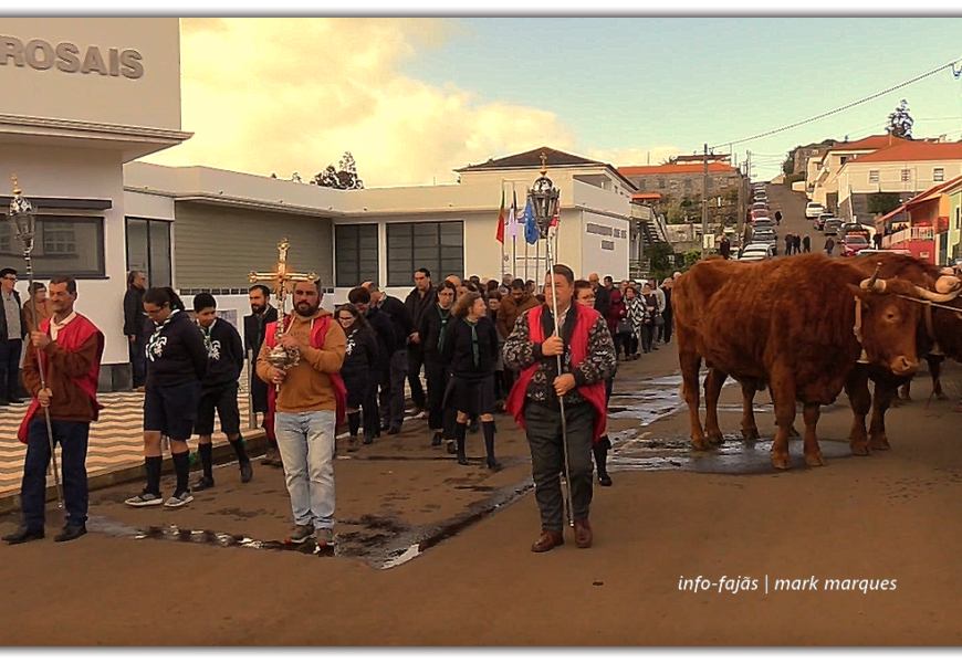 “PROCISSÃO E BÊNÇÃO DOS ANIMAIS” – Rosais – Festa de Santo Antão – Ilha de São Jorge (c/ vídeo)