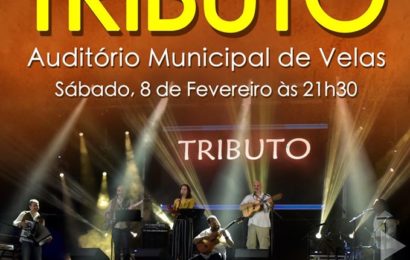 Banda “TRIBUTO” em concerto no próximo sábado dia 8 – Auditório Municipal de Velas