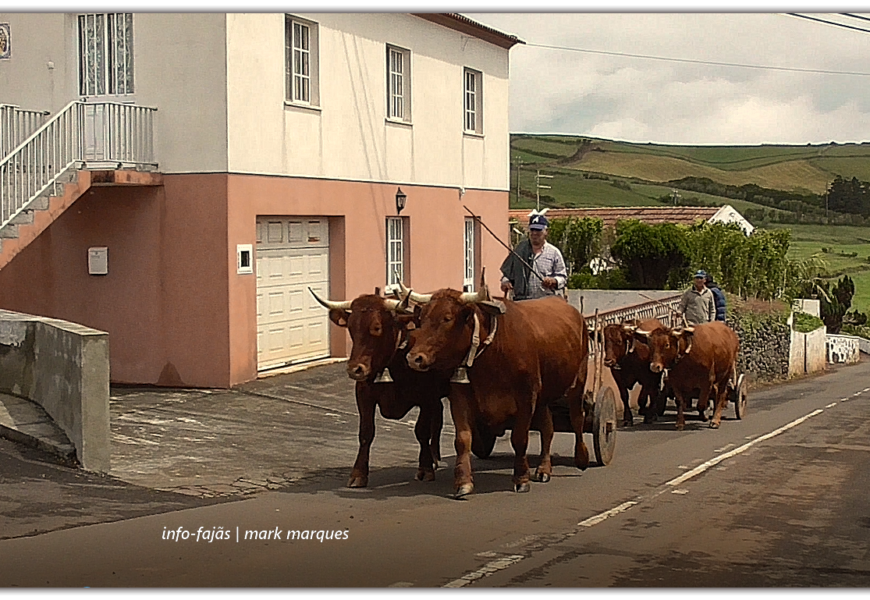 OS SONS DA MEMÓRIA – Santo Antão – Ilha de São Jorge (c/ vídeo)