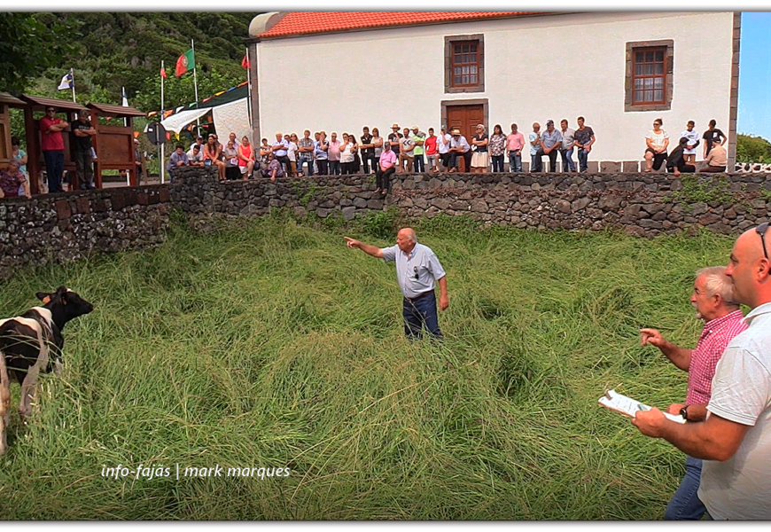 TRADICIONAIS ARREMATAÇÕES – Festa na Fajã dos Cubres – Ilha de São Jorge (c/ vídeo)