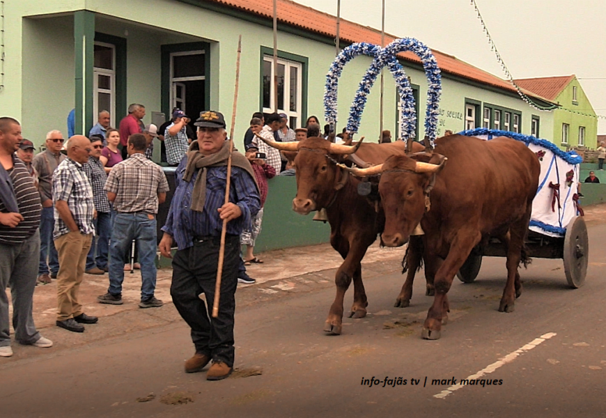 Cortejo e Bênção do Gado – FESTA DE SÃO TOMÉ – Ilha de São Jorge (c/ vídeo)
