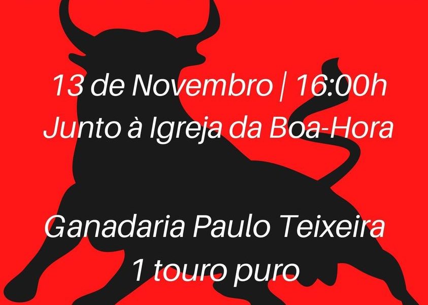 TOURADA À CORDA NA BOA HORA – (Próximo sábado dia 13) – Ilha de São Jorge TOURADA À CORDA NA BOA HORA – (Próximo sábado dia 13) – Ilha de São Jorge