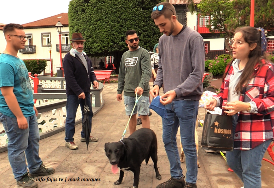 CAMPANHA DE ADOÇÃO ANIMAL – Velas – Ilha de São Jorge (c/ vídeo)