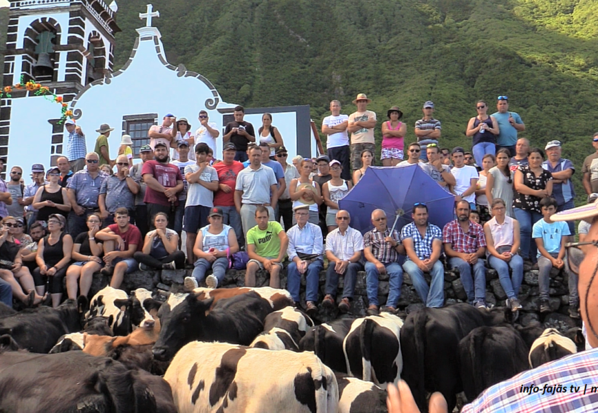 “Arrematações do Gado” – Festa na Fajã da Caldeira do Senhor Santo Cristo – Ilha de São Jorge (c/ vídeo) “Arrematações do Gado” – Festa na Fajã da Caldeira do Senhor Santo Cristo – Ilha de São Jorge (c/ vídeo)