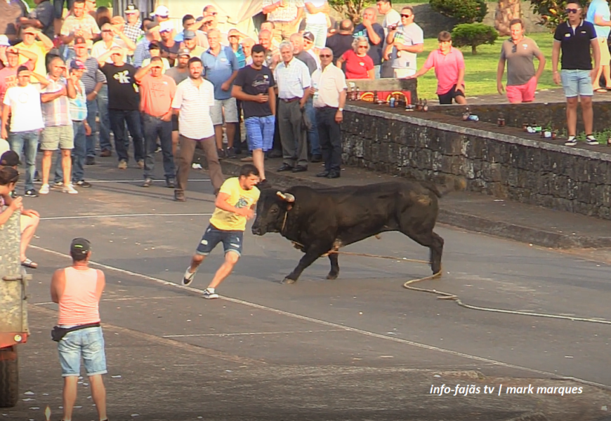 Aficionados da Tourada à Corda | O quinto Touro – Norte Pequeno – Ilha de São Jorge (c/ vídeo)