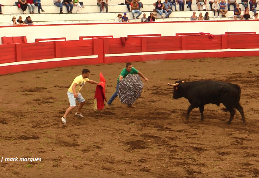 Festival de Capinhas – Praça de Touros da Ilha de São Jorge (c/ vídeo)