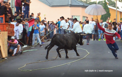 Tourada à Corda na Urzelina – Ilha de São Jorge (c/ vídeo)