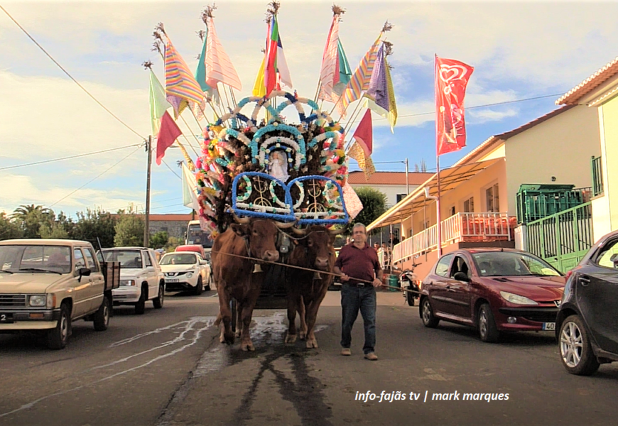 Desfile Etnográfico de Juntas de Bois da Raça Ramo Grande – Rosais – Ilha de São Jorge (c/ vídeo)