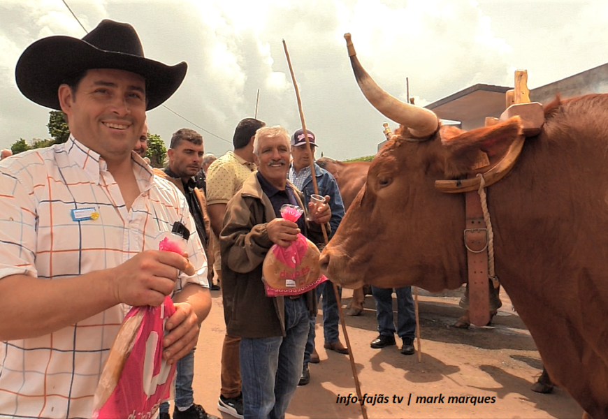 ÂNGELO SILVA (Júnior) faz balanço positivo da Festa no Barreiro / Topo – Ilha de São Jorge (c/ vídeo) ÂNGELO SILVA (Júnior) faz balanço positivo da Festa no Barreiro / Topo – Ilha de São Jorge (c/ vídeo)