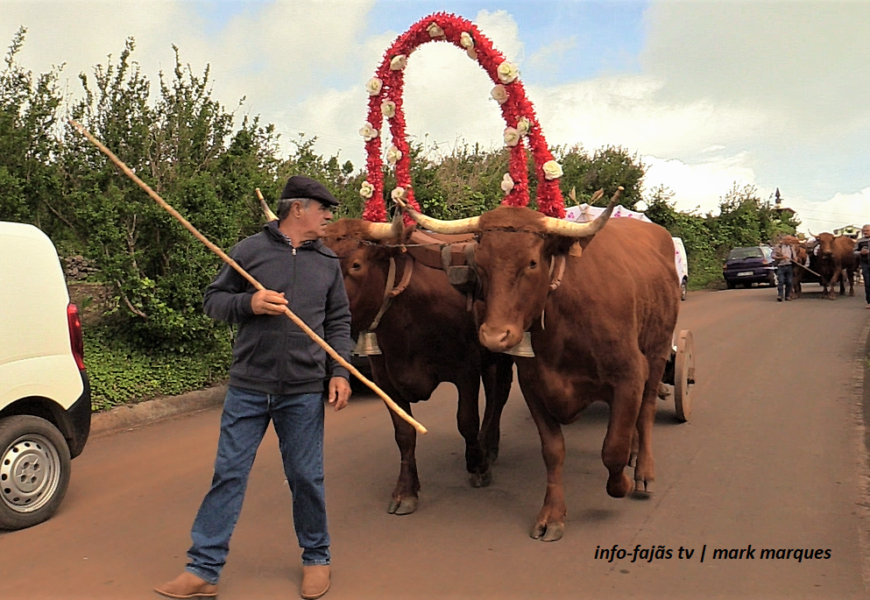 “Desfile de Juntas de Bois” – Barreiro / Topo – Ilha de São Jorge (c/ vídeo)