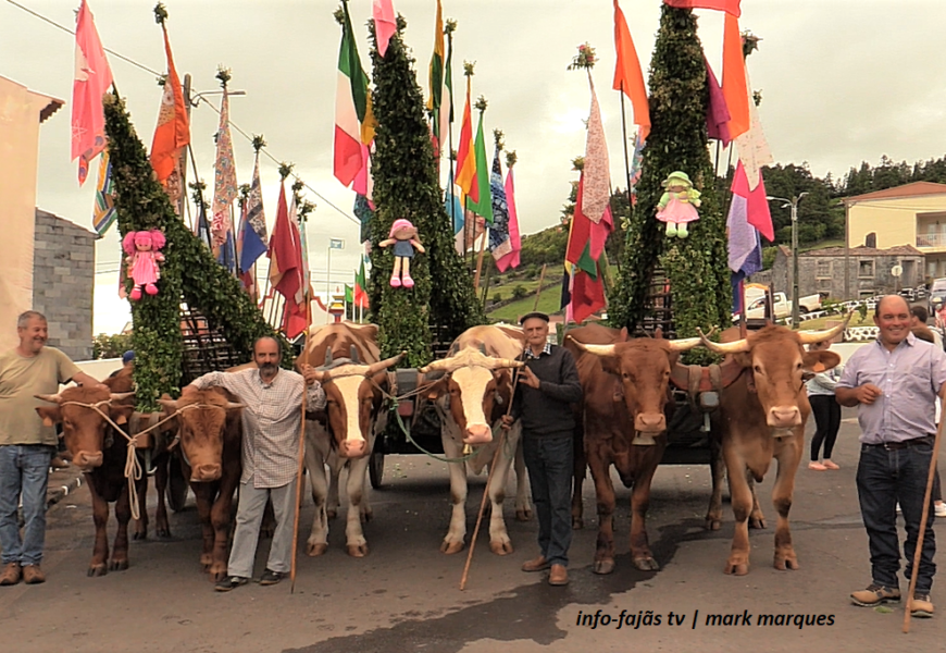 “Carros das Bandeiras” – Beira / Velas – Ilha de São Jorge (c/ vídeo)