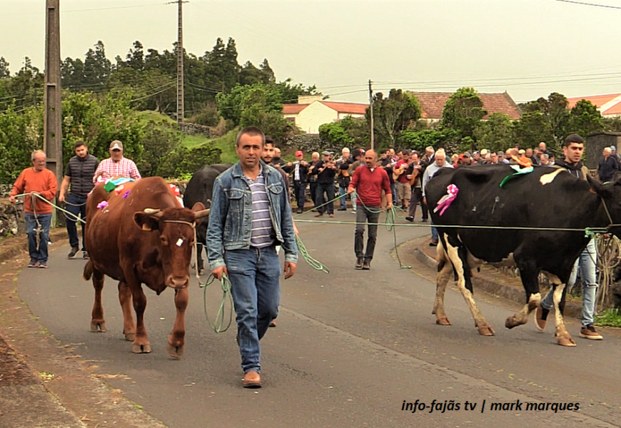 “FESTA DO GADO”- Sexta-feira da Santíssima Trindade – Norte Pequeno – Ilha de São Jorge (c/ vídeo) “FESTA DO GADO”- Sexta-feira da Santíssima Trindade – Norte Pequeno – Ilha de São Jorge (c/ vídeo)